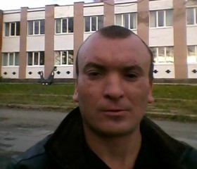 Сергей, 38 лет, Повенец