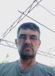 Фарид, 46 лет, Toshkent