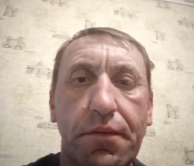 Сергей, 49 лет, Зэльва