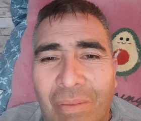 Hector, 52 года, Calama