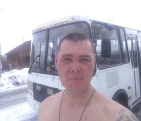 Иван, 42 года, Барнаул
