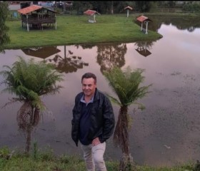 Altevir, 55 лет, São José dos Pinhais