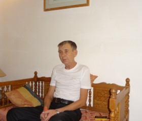 Геннадий, 74 года, Челябинск