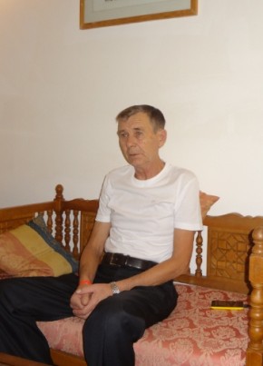 Геннадий, 74, Россия, Челябинск