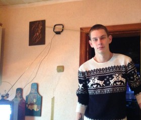 Вячеслав, 26 лет, Ковылкино