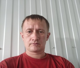 Ramil, 40 лет, Набережные Челны
