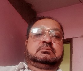 Dilbagh Singh, 61 год, Delhi