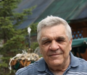 Борис, 68 лет, Благовещенск (Амурская обл.)