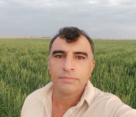 علی, 37, Ahvaz