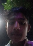 vijaykushwah9610, 19 лет, Amritsar