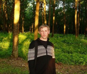 Геннадий, 35 лет, Белгород