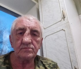 Anatoliy, 63, Taldom