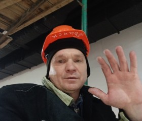 Владимир, 44 года, Лосино-Петровский