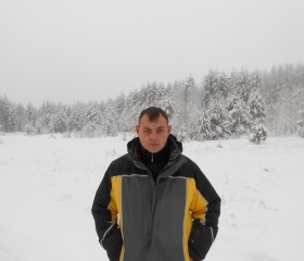 Александр, 39 лет, Соликамск