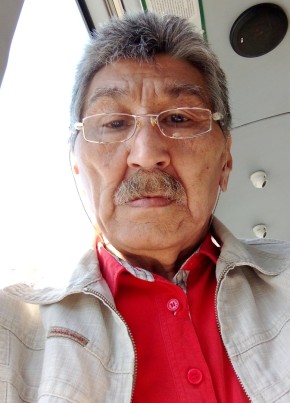 Viktor, 66, Russia, Novosibirsk