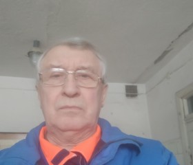 Александр, 72 года, Дзержинск