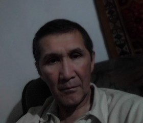 Jarkyn, 60 лет, Алматы