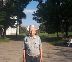 Валерий, 73 года, Gera