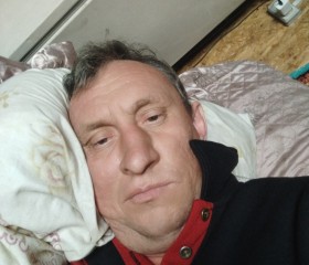 Евгений, 44 года, Шымкент