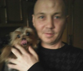 Pavel, 49, Zheleznodorozhnyy (MO)