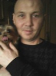 Pavel, 49, Zheleznodorozhnyy (MO)