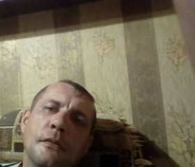 Владимир, 40 лет, Богородицк