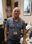 Шурик, 62 года, Домодедово