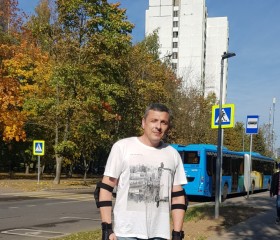 Сергей Техник, 46 лет, Пущино