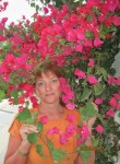 Татьяна, 63 года, Сыктывкар
