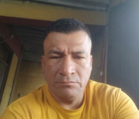 Pichulon alfredo, 44 года, Tacna