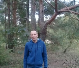 Евгений, 46 лет, Славгород