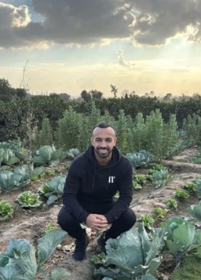 زياد, 29, Egypt, Tanda