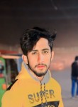 Mujahid, 18 лет, اسلام آباد