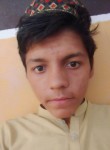 Zawar Ali, 19 лет, اسلام آباد