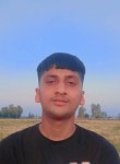 Parm singh, 19 лет, Jalandhar