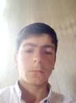 Ferhat, 19 лет, Kars