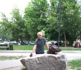 Anatoliy, 65, Ryazan