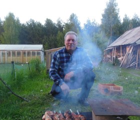 Владимир, 70 лет, Шахунья