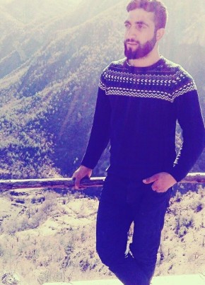 Mehmet, 28, Türkiye Cumhuriyeti, Erciş