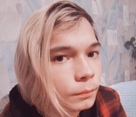 Эмиль Фаляхов, 24 года, Нижние Серги