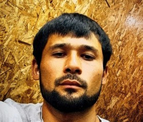 Mehrob, 25, Tashkent