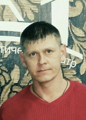 ALEKSANDR, 41, Россия, Щекино