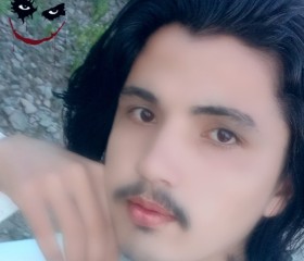 Ali Haider, 19 лет, اسلام آباد