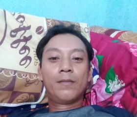 Feryfirlan, 39 лет, Djakarta