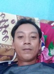 Feryfirlan, 39 лет, Djakarta