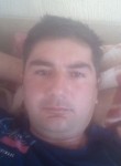 Мансур, 38 лет, Cluj-Napoca