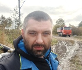 Medved, 79, Saint Petersburg