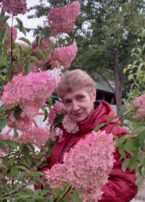 Елена, 67, Россия, Раменское