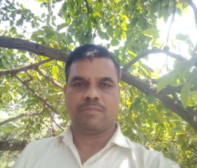 Rajendra Yadav, 44 года, Siwān