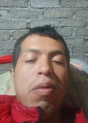 Alejandro Vijosa, 35, Estados Unidos Mexicanos, Morelia